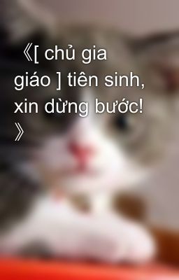 《[ chủ gia giáo ] tiên sinh, xin dừng bước! 》