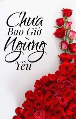 Chưa Bao Giờ Ngừng Yêu