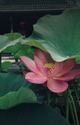 chưa có tiêu đề =)))