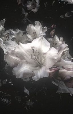 Chúc em hạnh phúc [ Hyunlix ]