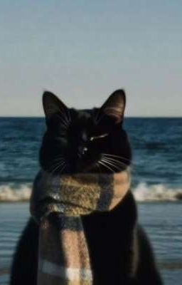 CHÚC HẠNH PHÚC [VIPEUS]