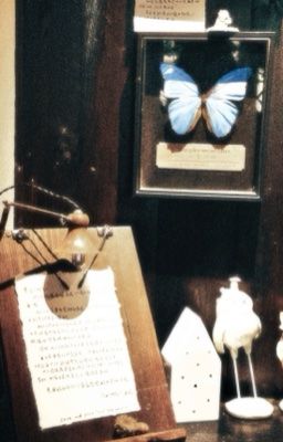 chuchuwooz | Tâm điểm