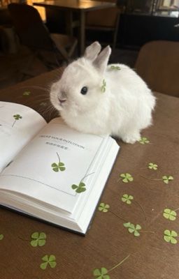 chuchuz ft. wooneum • học thầy không tày học bạn