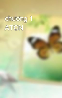 chương 1 ATCN