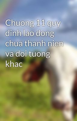 Chuong 11 quy dinh lao dong chua thanh nien va doi tuong khac