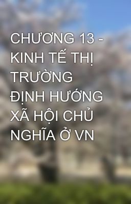 CHƯƠNG 13 - KINH TẾ THỊ TRƯỜNG ĐỊNH HƯỚNG XÃ HỘI CHỦ NGHĨA Ở VN