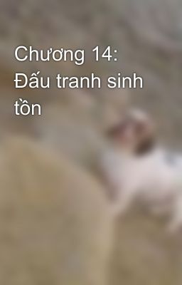 Chương 14: Đấu tranh sinh tồn