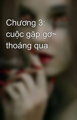 Chương 3: cuộc gặp gơ~ thoáng qua