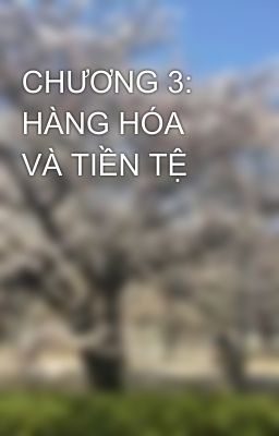 CHƯƠNG 3: HÀNG HÓA VÀ TIỀN TỆ