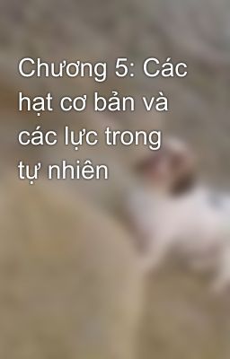 Chương 5: Các hạt cơ bản và các lực trong tự nhiên