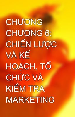 CHƯƠNG CHƯƠNG 6: CHIẾN LƯỢC VÀ KẾ HOẠCH, TỔ CHỨC VÀ KIỂM TRA MARKETING