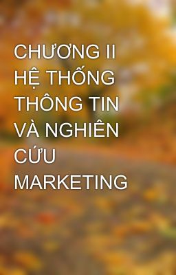 CHƯƠNG II HỆ THỐNG THÔNG TIN VÀ NGHIÊN CỨU MARKETING