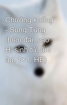 Chưởng khống - Sung Tùng (hiện đại, cao H, sinh tử, ấm áp, 1×1, HE)