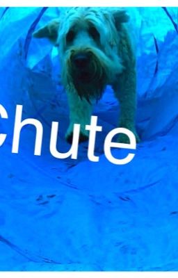 Chute