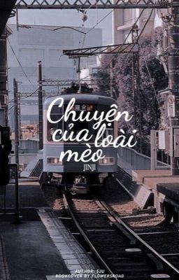 chuyện của loài mèo ♔ jinji