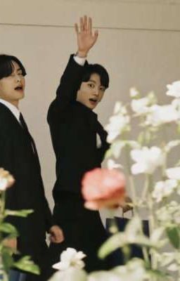 Chuyện nhà Hổ Thỏ |VKOOK|