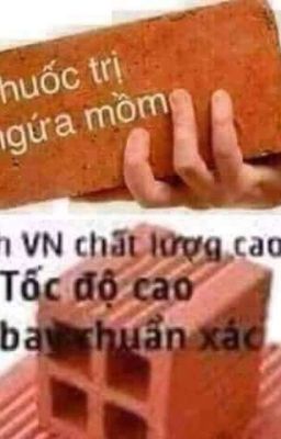 // Chuyện nhổn làm // Lảm Nhảm 