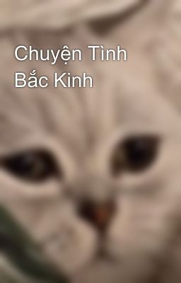 Chuyện Tình Bắc Kinh