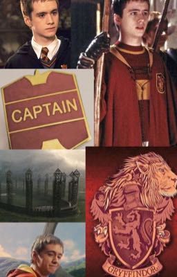 Chuyện tình của cặp đôi gà bông nhà Gryffindor