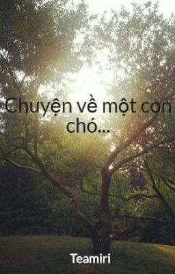 Chuyện về một con chó...