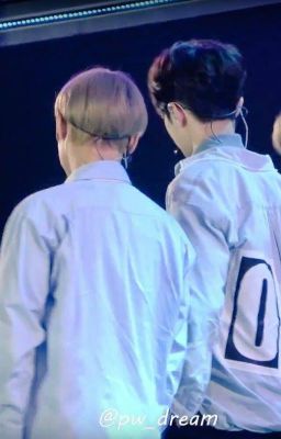 [ CHUYỂN VER ] PanWink - Có em bên đời