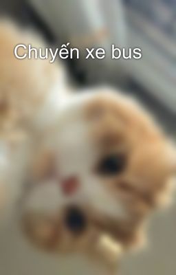 Chuyến xe bus