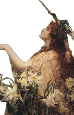 [ ChủyTrác ]Cuồng phong