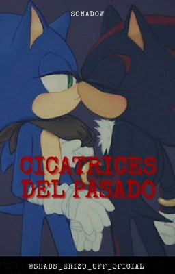 Cicatrices del pasado///Sonadow///|TERMINADA|