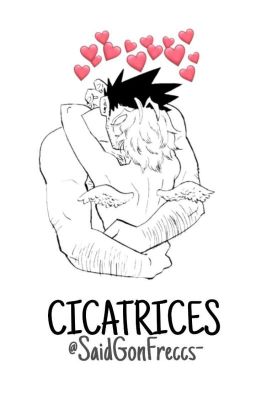 ✧CICATRICES | ENDEHAWKS.