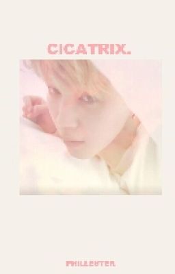 Cicatrix ➹ »p.jm«