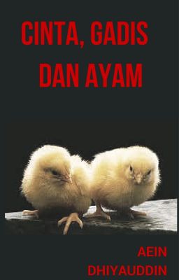 CINTA,GADIS DAN AYAM