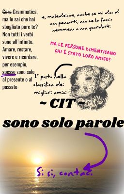 ~CIT~ sono solo parole