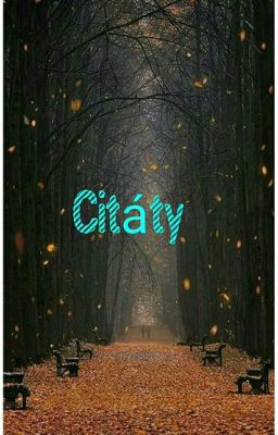 Citáty