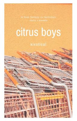 citrus boys | promptis