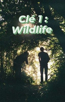 Clé 1 : Wildlife