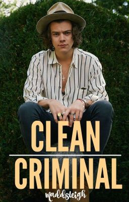 Clean Criminal // l.s.