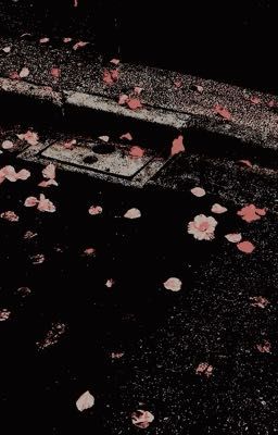 [ Clearable ] - Duyên Âm