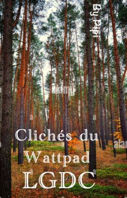 Clichés du Wattpad LGDC, ou comment mes yeux saignent - By Pipi