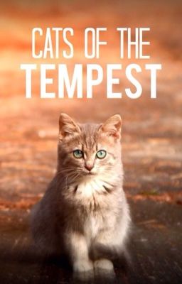 [CLOSED] Winged Cat Roleplay: Cats of the Tempest