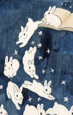 Cô dâu của Ngài Thỏ 