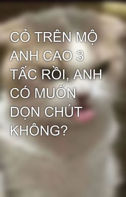 CỎ TRÊN MỘ ANH CAO 3 TẤC RỒI, ANH CÓ MUỐN DỌN CHÚT KHÔNG?