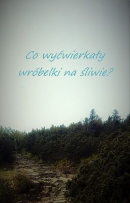 Co wyćwierkały wróbelki na śliwie? [SasoDei] oneshot