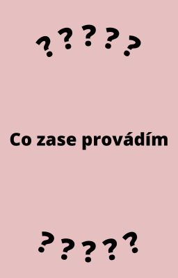 Co zase provádím?