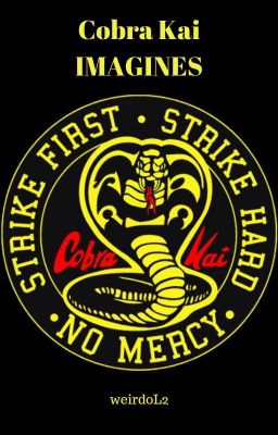 Cobra Kai Imagines