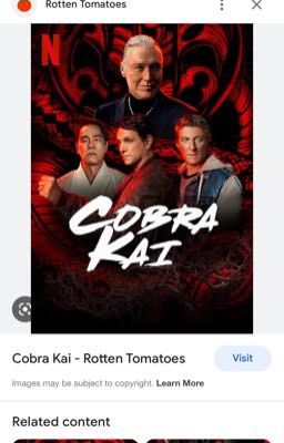 Cobra Kai literate rp 