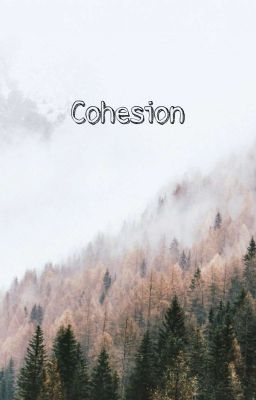 Cohesion