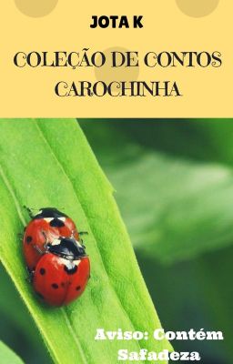 Coleção de Contos Carochinha