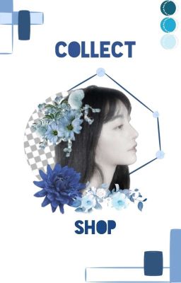 Collect Shop | Soup Team