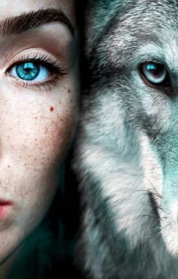 Collision of Packs | A Werewolf Group Roleplay |