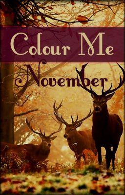 Colour Me November